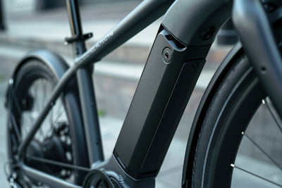 How to Reset an E-Bike Battery | Step-by-Step Guide