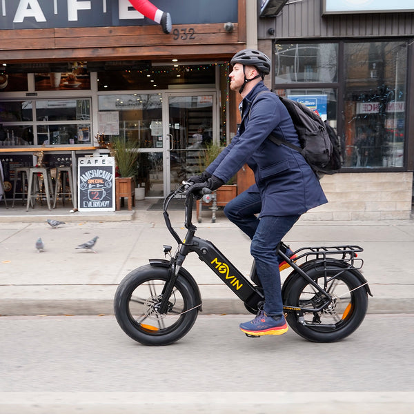 Pulse Fat Tire Delivery E-Bike