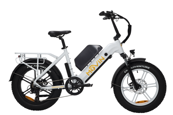 Pulse Fat Tire Delivery E-Bike