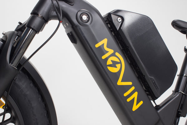 Pulse Fat Tire Delivery E-Bike