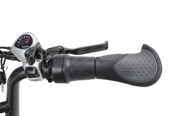 Pulse Fat Tire Delivery E-Bike