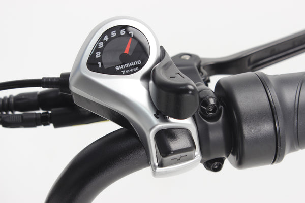 Pulse Fat Tire Delivery E-Bike