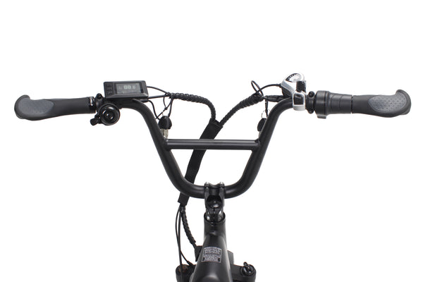 Pulse Fat Tire Delivery E-Bike
