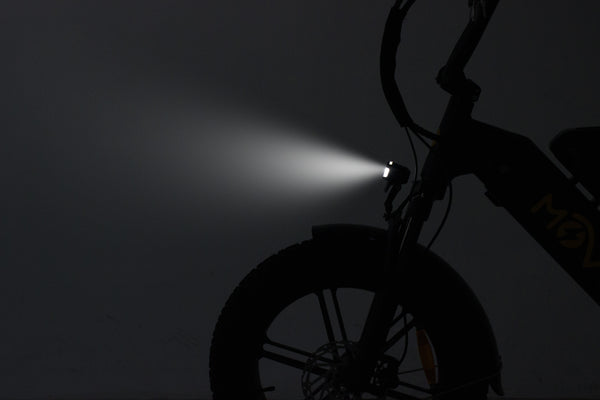 Pulse Fat Tire Delivery E-Bike