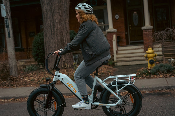 Pulse Fat Tire Delivery E-Bike