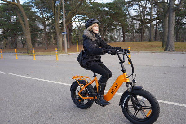 Pulse Fat Tire Delivery E-Bike