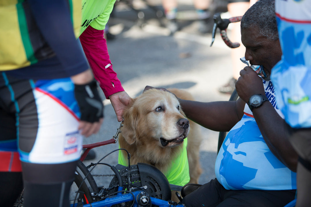 How to Bike with Your Dog on an Electric Bike