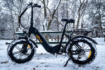 Electric Bike for Winter or Rain