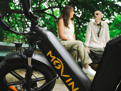 The Rise of Cargo E-Bike Canada Models in Urban Life