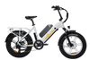 Pulse Fat Tire Delivery E-Bike
