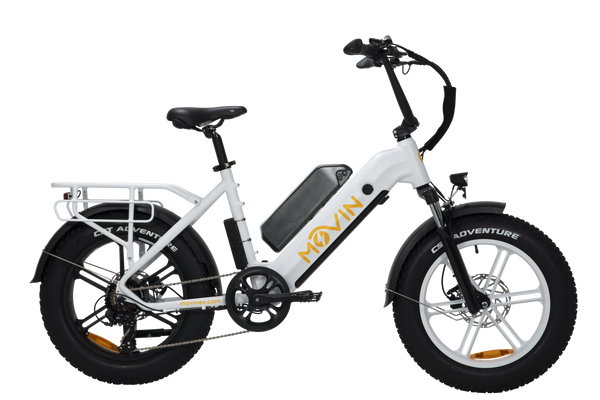 Pulse Fat Tire Delivery E-Bike