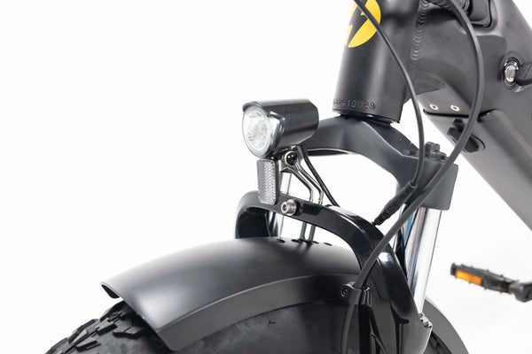 Pulse Fat Tire Delivery E-Bike - Canada's Longest-Range Fat Tire E-Bike for Delivery Riders