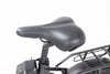 Pulse Fat Tire Delivery E-Bike - Canada's Longest-Range Fat Tire E-Bike for Delivery Riders