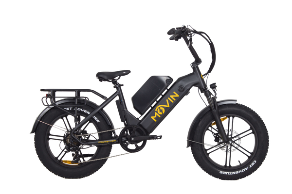 Pulse Fat Tire Electric Bike - Ultimate All-Weather Adventure Machine