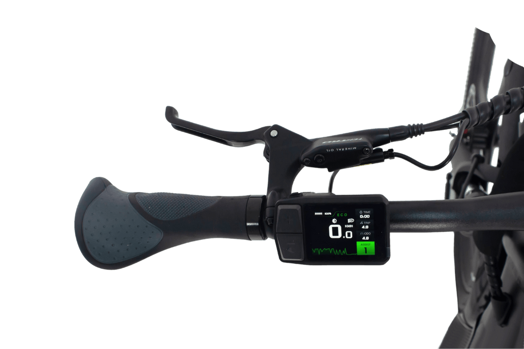 Longest range electric bike 2019 online