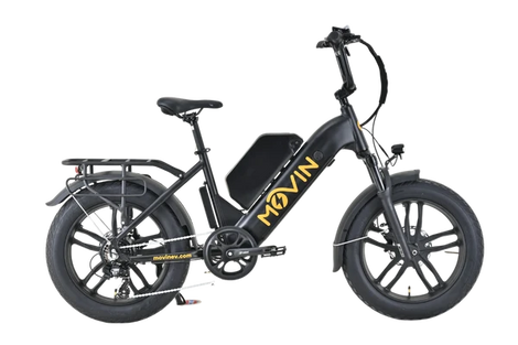 Pulse Fat Tire Delivery E-Bike